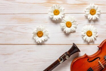 Locandina del concerto di primavera con fiori stilizzati